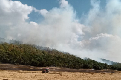 Orman İşletme Müdürü Ertunç Can Polat yangınlara karşı uyardı