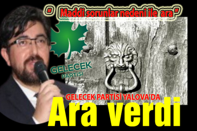 Ara verdi