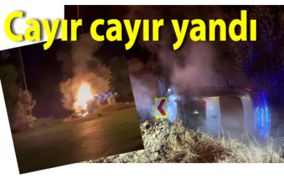 Lüks araç yandı