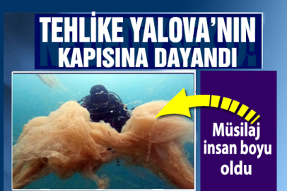 İnsan boyu kâbus Yalova ya yaklaşıyor