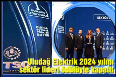 Uludağ Elektrik “Sektör Lideri” ödülüne layık görüldü