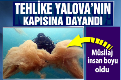 Yalova ya yaklaştı